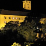 1208F 086 Neckar Gundelsheim